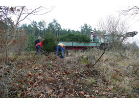 Es weihnachtet in St. Crescentius (© Karl-Franz Thiede)